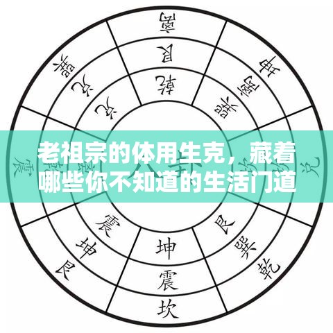 老祖宗的体用生克，藏着哪些你不知道的生活门道？
