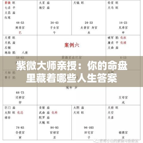 紫微大师亲授：你的命盘里藏着哪些人生答案