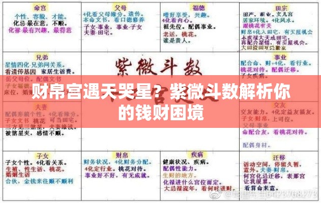财帛宫遇天哭星？紫微斗数解析你的钱财困境