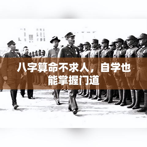 八字算命不求人，自学也能掌握门道