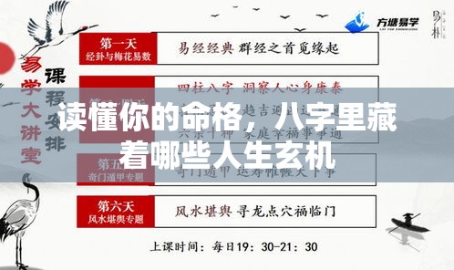 读懂你的命格，八字里藏着哪些人生玄机