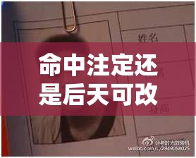 命中注定还是后天可改？测测你的八字有多硬