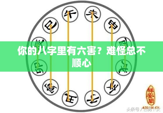 你的八字里有六害？难怪总不顺心