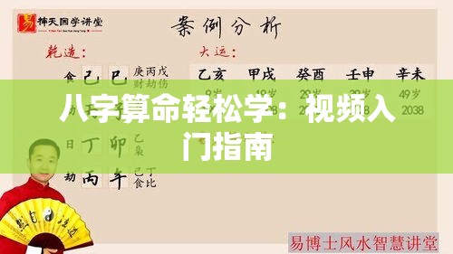 八字算命轻松学：视频入门指南