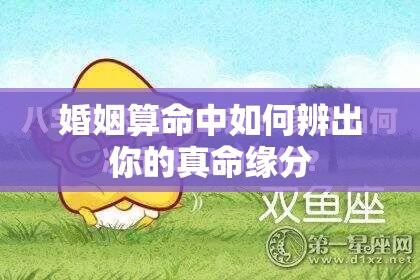 婚姻算命中如何辨出你的真命缘分