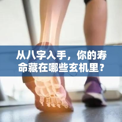 从八字入手，你的寿命藏在哪些玄机里？
