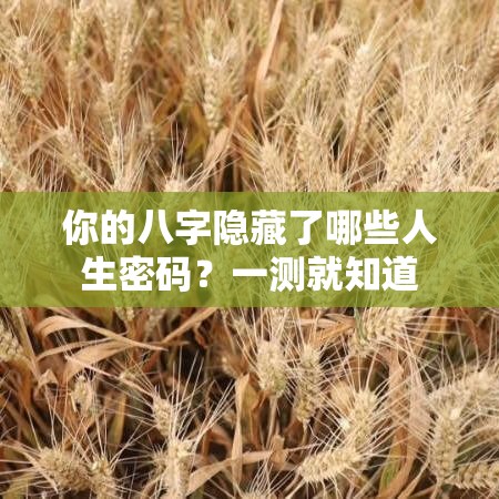 你的八字隐藏了哪些人生密码？一测就知道