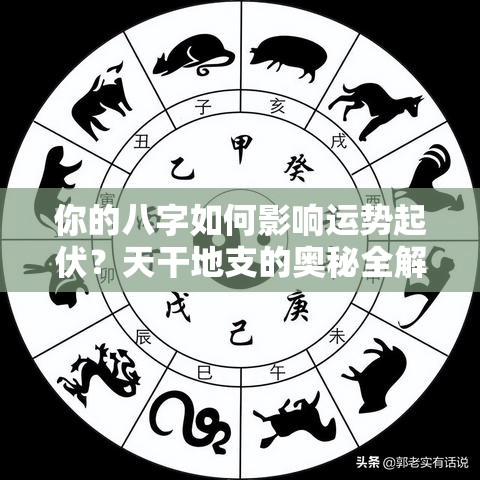你的八字如何影响运势起伏？天干地支的奥秘全解析