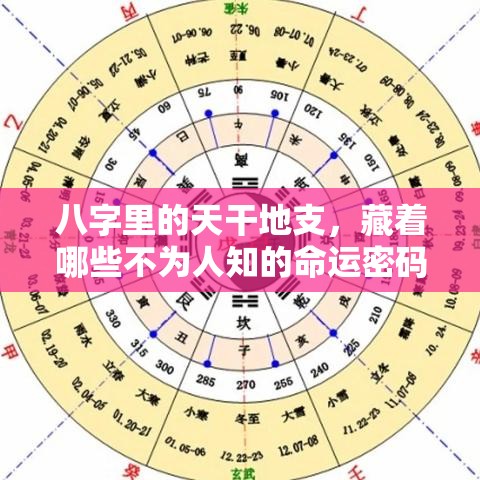 八字里的天干地支，藏着哪些不为人知的命运密码？