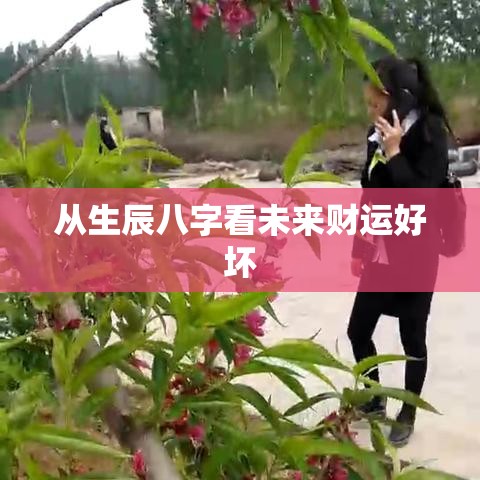 从生辰八字看未来财运好坏
