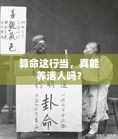 算命这行当，真能养活人吗？
