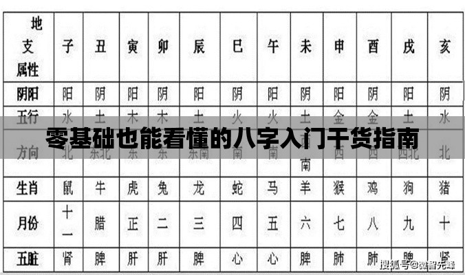 零基础也能看懂的八字入门干货指南