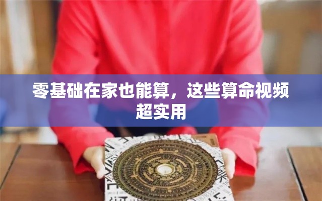 零基础在家也能算，这些算命视频超实用