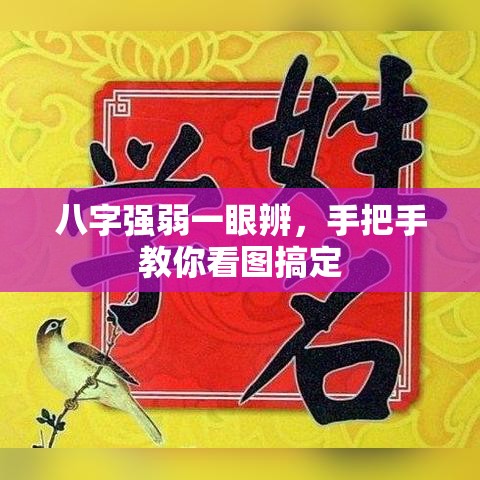 八字强弱一眼辨，手把手教你看图搞定