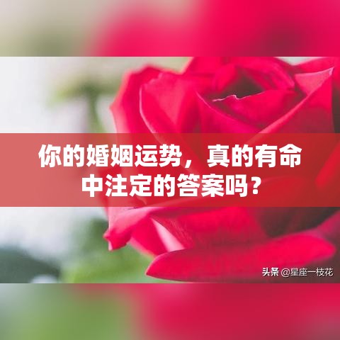 你的婚姻运势，真的有命中注定的答案吗？