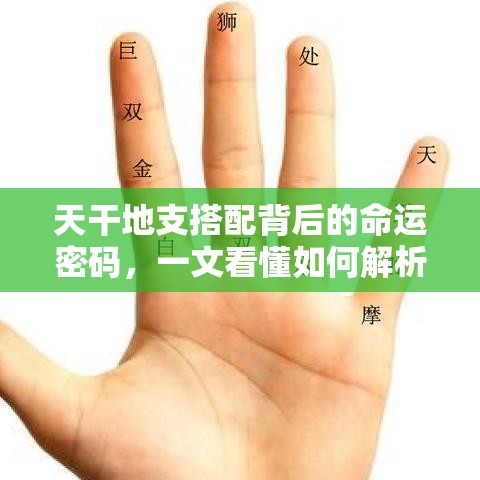 天干地支搭配背后的命运密码，一文看懂如何解析