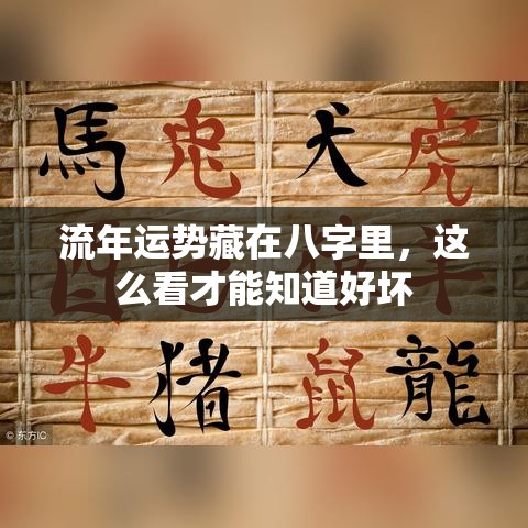 流年运势藏在八字里，这么看才能知道好坏