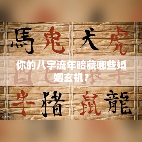 你的八字流年暗藏哪些婚姻玄机？
