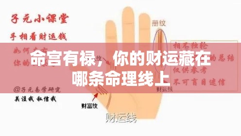 命宫有禄，你的财运藏在哪条命理线上