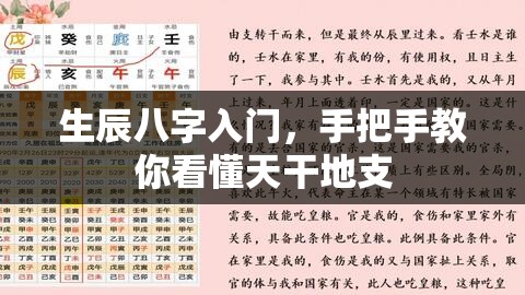 生辰八字入门，手把手教你看懂天干地支