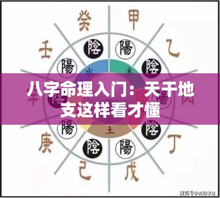 八字命理入门：天干地支这样看才懂