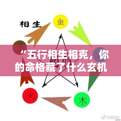 “五行相生相克，你的命格藏了什么玄机？”