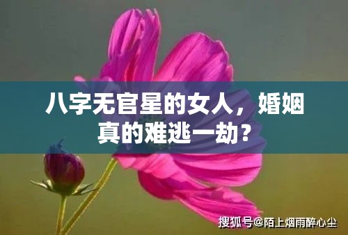 八字无官星的女人，婚姻真的难逃一劫？