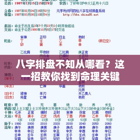 八字排盘不知从哪看？这一招教你找到命理关键