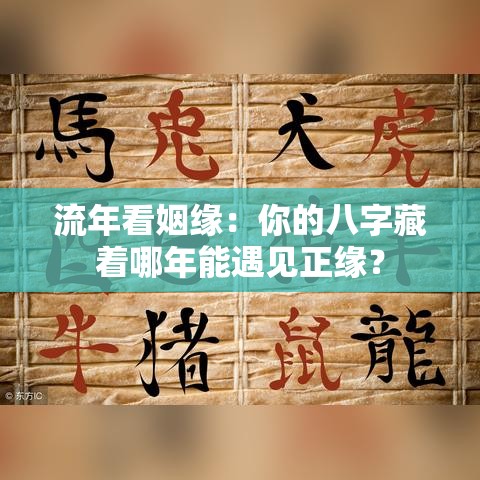 流年看姻缘：你的八字藏着哪年能遇见正缘？