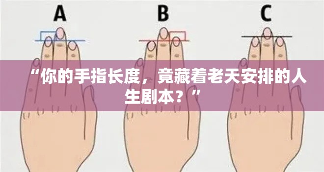 “你的手指长度，竟藏着老天安排的人生剧本？”