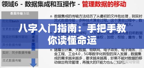 八字入门指南：手把手教你读懂命运