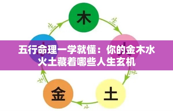 五行命理一学就懂：你的金木水火土藏着哪些人生玄机