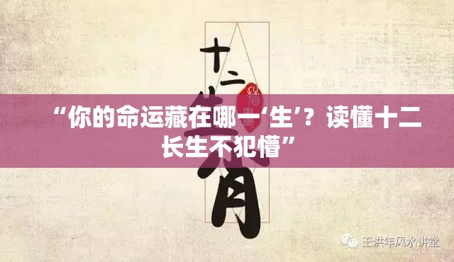 “你的命运藏在哪一‘生’？读懂十二长生不犯懵”