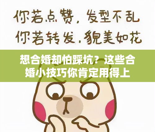 想合婚却怕踩坑？这些合婚小技巧你肯定用得上