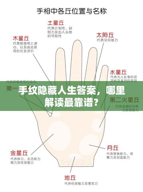 手纹隐藏人生答案，哪里解读最靠谱？