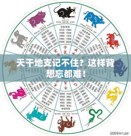 天干地支记不住？这样背想忘都难！