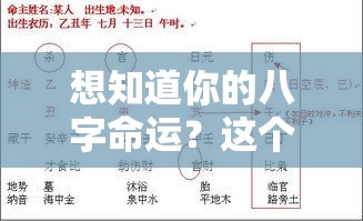想知道你的八字命运？这个排盘工具超准