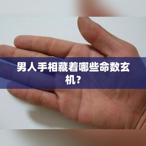 男人手相藏着哪些命数玄机？