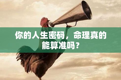 你的人生密码，命理真的能算准吗？