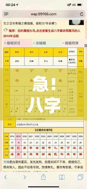急！八字排盘助手突然罢工咋整？
