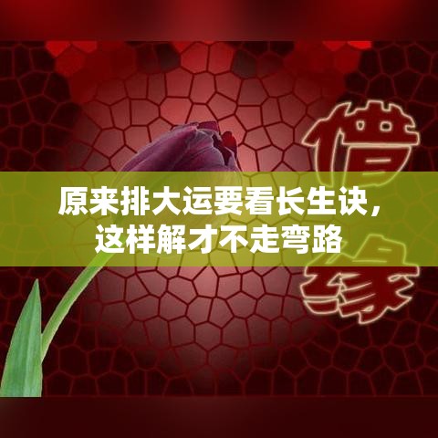 原来排大运要看长生诀，这样解才不走弯路