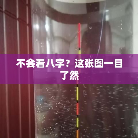 不会看八字？这张图一目了然