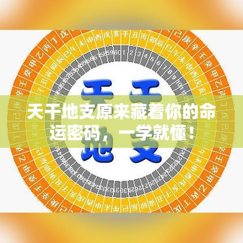 天干地支原来藏着你的命运密码，一学就懂！