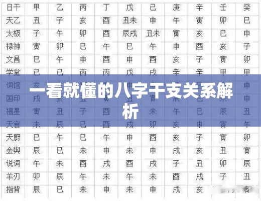 一看就懂的八字干支关系解析
