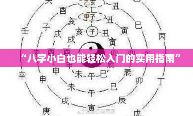 “八字小白也能轻松入门的实用指南”