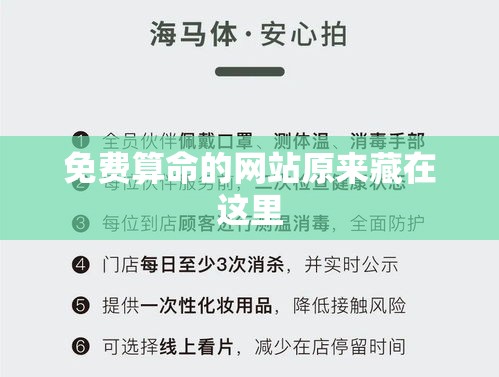 免费算命的网站原来藏在这里