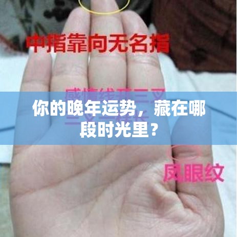 你的晚年运势，藏在哪段时光里？