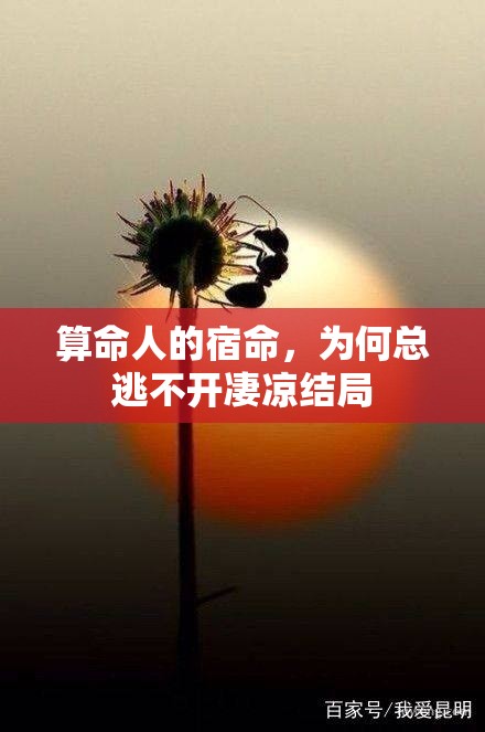 算命人的宿命，为何总逃不开凄凉结局