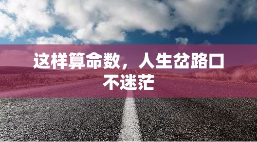 这样算命数，人生岔路口不迷茫