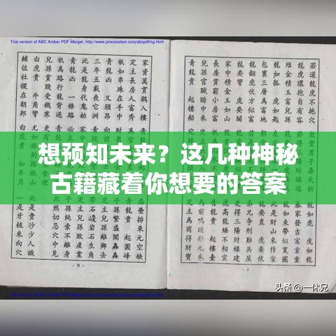 想预知未来？这几种神秘古籍藏着你想要的答案
